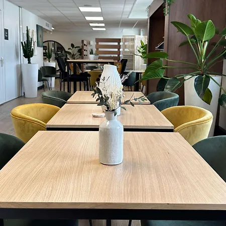 Ibis Lyon Sud 3* אולה