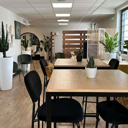 Ibis Lyon Sud Отель 3*